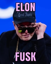 elon fusk